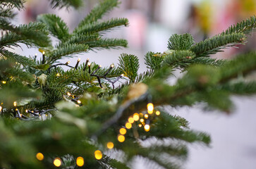 Einkaufen zur Adventszeit: Nahaufnahme einer weihnachtlich geschmückten Tanne mit Lichterketten in...
