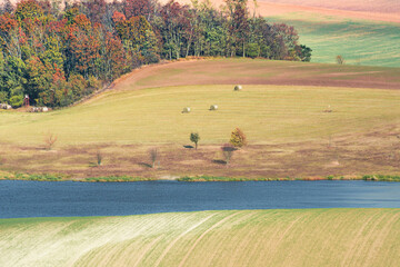 Nature on south Moravia, Czech Republic