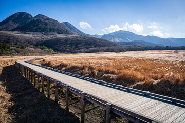 Tadehara marshland