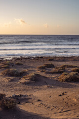 Sunrise on the beach. Desert landscape. Waves break against the coast of sand and rocks. Clear sky. Sand dunes and desert vegetation. El Medano, Tenerife, Canary Islands, Spain.