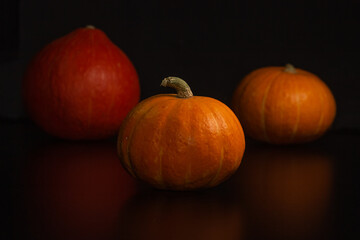 Yellow-orange pumpkins on a black background the concept of Halloween and the autumn harvest of pumpkin close-up copyspace from above