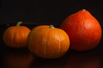 Yellow-orange pumpkins on a black background the concept of Halloween and the autumn harvest of pumpkin close-up copyspace from above