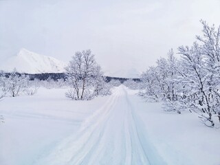 Obraz premium Tranquil winter landscape with trees and path in snowcapped Khibiny mountains. A lot of snow. Kirovsk, Kola Peninsula, Murmansk region. Copy space.