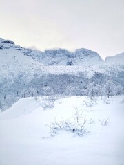 Winter landscape in snowcapped Khibiny mountains. Kirovsk, Kola Peninsula, Murmansk region.