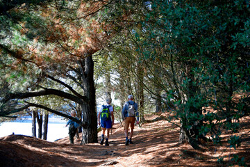 Obraz premium Randonneurs séniors sur la côte en Bretagne - France