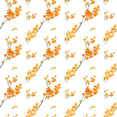 Watercolor mimosa pattern.Spring flowers.Wallpaper,wrapping paper design