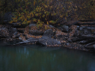 autumn small pond