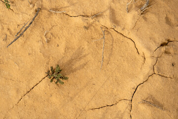 Deserted and cracked soil due to climate change and global warming