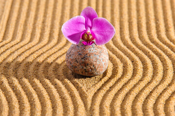 Fototapeta na wymiar Japanese Zen garden with stone in textured sand