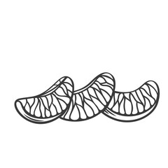 Mandarin slices line icon vector illustration. Hand drawn outline fresh peeled tropical fruit for juice or jam, three ripe citrus wedges, vitamin juicy orange tangerine, clementine or mandarin slices