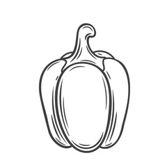 Whole bell pepper line icon vector illustration. Hand drawn outline sweet fresh paprika, organic Bulgarian pepper for cooking food of healthy tasty vegan diet, side view of single raw vegetable