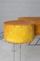 Homemade round sponge cake or chiffon cake