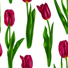 seamless pattern with drawing red tulip flowers with green leaves at white background , hand drawn botanical illustration