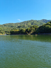 A lake with water sparkling in the sunlight.