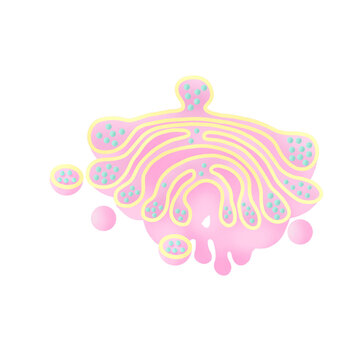 Golgi Complex by gilly