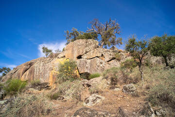 A beautiful landscape of trees growing between the huge granite rocks, holm oaks and cork oaks.