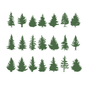 Coniferous tree isolated silhouettes set. Pine tree and fir tree flat icons.