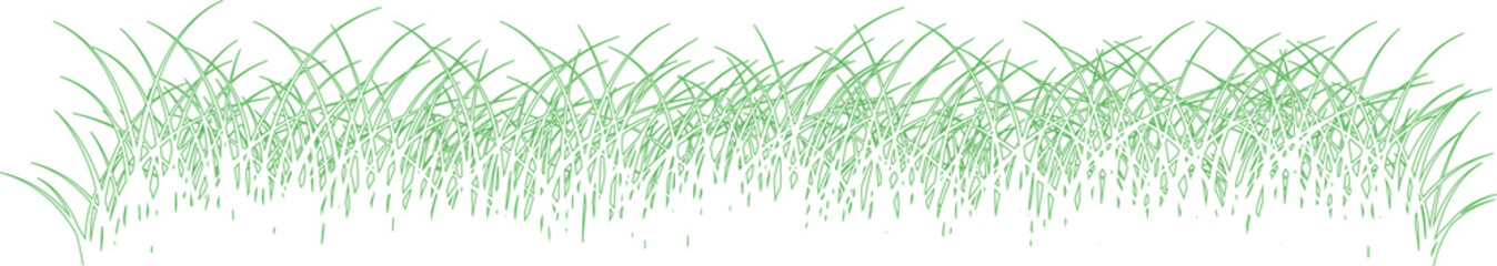 Grass. Grass field natural