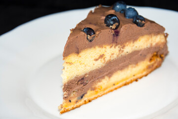 Dark chocolate blueberry cream cake on plate