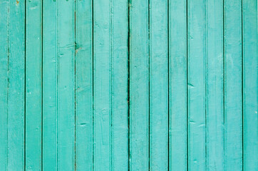 Green painted wood texture for background, wallpaper
