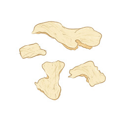 Dried sliced ginger ingredient in flat vector illustration 