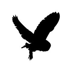  Flying bird vector black silhouette, bird vector flat icon.