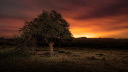 sunset in the mountains