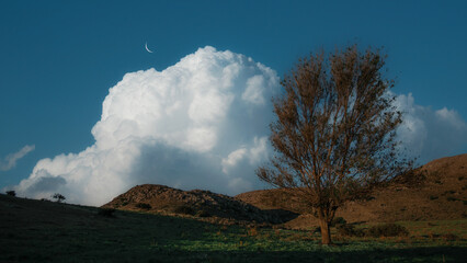 clouds in the mountains