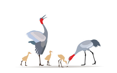 Crane family foraging on a beautiful nature background. vector illustration