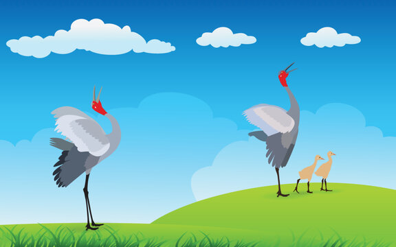 Crane family foraging on a beautiful nature background. vector illustration