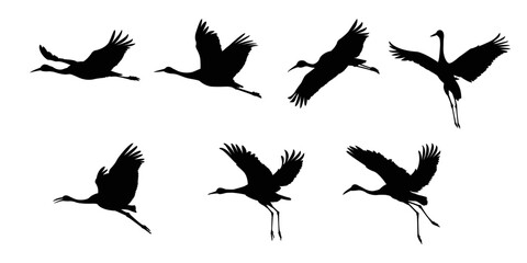 Flock of cranes or storks black silhouette in flight vector flat illustration on white background.