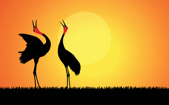 two cranes Vector drawing. Silhouette of a crane posing on a white background. Vector illustration.