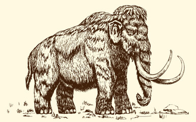 Mammoth vector sketch, hand drawn ink illustration.