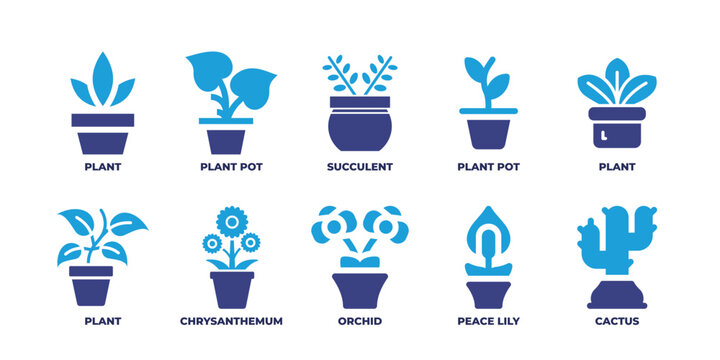 Plant pot icon set. Duotone color. Vector illustration. Containing plant, plant pot, succulent, chrysanthemum, orchid, cactus.