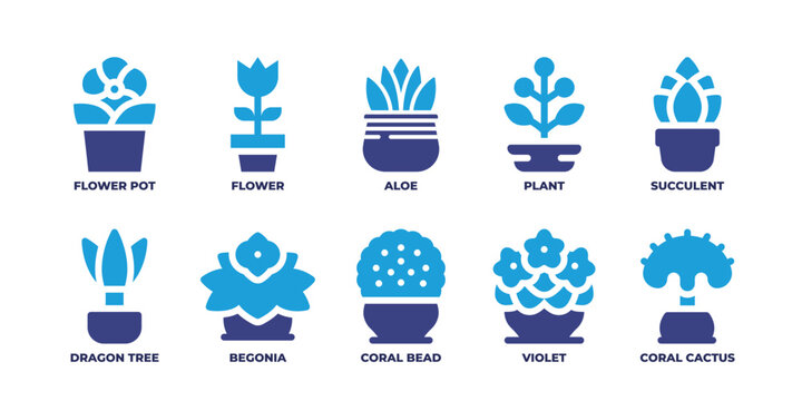 Plant pot icon set. Duotone color. Vector illustration. Containing succulent, plant, aloe, flower, flower pot, coral cactus, violet, coral bead, begonia, dragon tree.