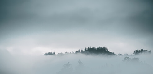 Mountain slopes landscape with fir trees in the fog in Zakopane, Poland