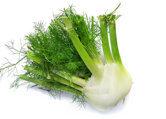 Fennel. Bulb-like stem with natural shadow on a white background. Flavorful vegetable