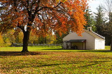 White building in autumn colors