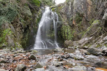 Fototapeta premium Yalova city waterfall in the forest. Turkey waterfalls