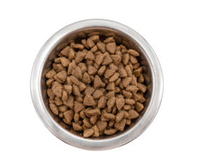 Metal plate with dry dog ​​food. Pet food