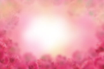 pink cherry blossom flowers background