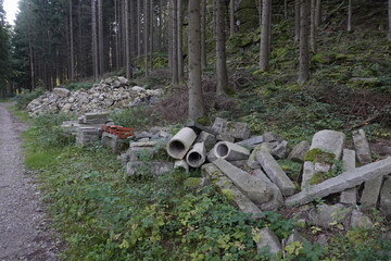 Illegale Entsorgung im Wald
