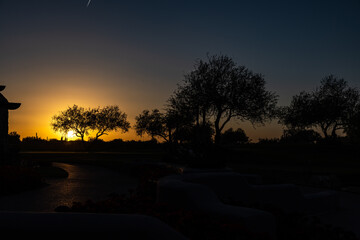 sunset at the park
