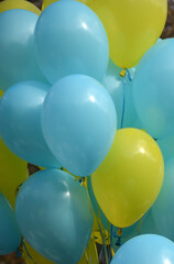 Colored yellow and blue balloons inflated with gel close-up. Graduation, last call, holiday.