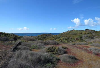 Fototapeta na wymiar Beautiful green coast in the coast in Valley Gran Rey. Island of La Gomera. Canary Islands. Spain.