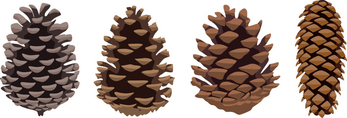 A set of pine cones of various shapes and colors. Isolated on white background