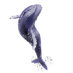 Watercolor whale on white background. Watercolor hand-painted illustration. White color background.