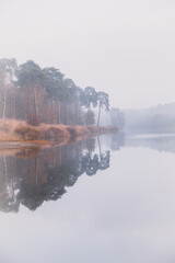 Reflection of a foggy forest in a pond with autumn colors | Landscape Photography