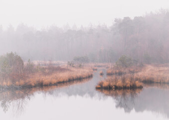 Foggy landscape with forest pond and autumn colors | Photography, The Netherlands
