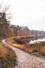 Forest trail next to pond with autumn colors | Landscape Photography, The Netherlands